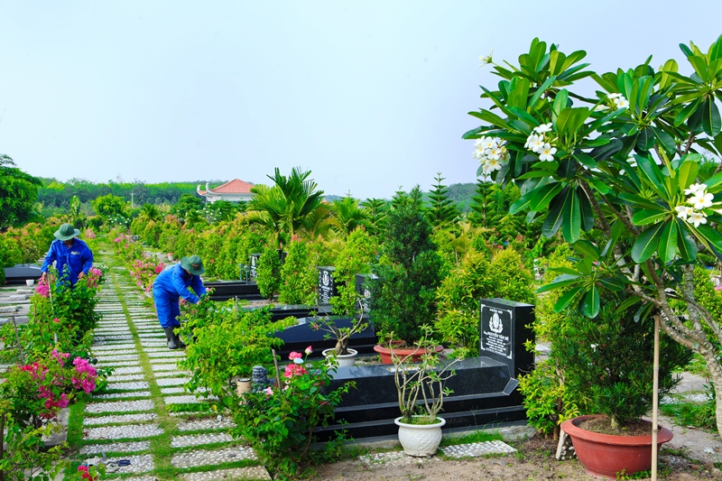 Sai lầm phổ biến khi chăm sóc mô phần và cách tránh Sai lầm phổ biến khi chăm sóc mô phần và cách tránh