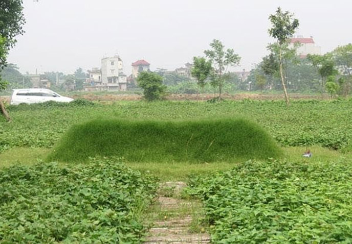 Mộ kết là huyệt đẹp Mộ kết là huyệt đẹp